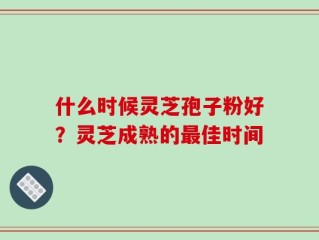 什么时候灵芝孢子粉好？灵芝成熟的最佳时间