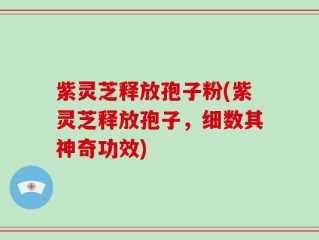 紫灵芝释放孢子粉(紫灵芝释放孢子，细数其神奇功效)