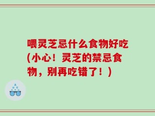 喂灵芝忌什么食物好吃(小心！灵芝的禁忌食物，别再吃错了！)