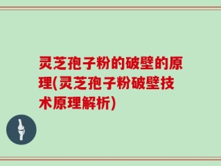 灵芝孢子粉的破壁的原理(灵芝孢子粉破壁技术原理解析)