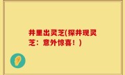井里出灵芝(探井现灵芝：意外惊喜！)