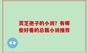 灵芝孢子的小说？有哪些好看的总裁小说推荐