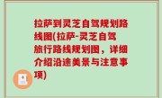 拉萨到灵芝自驾规划路线图(拉萨-灵芝自驾旅行路线规划图，详细介绍沿途美景与注意事项)