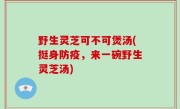 野生灵芝可不可煲汤(挺身防疫，来一碗野生灵芝汤)