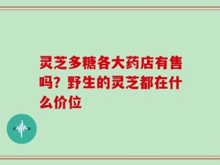 灵芝多糖各大药店有售吗？野生的灵芝都在什么价位
