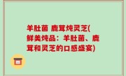 羊肚菌 鹿茸炖灵芝(鲜美炖品：羊肚菌、鹿茸和灵芝的口感盛宴)