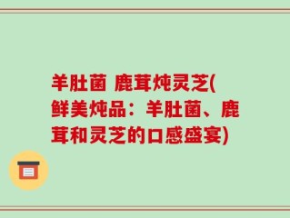 羊肚菌 鹿茸炖灵芝(鲜美炖品：羊肚菌、鹿茸和灵芝的口感盛宴)