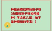 种植白蘑菇释放孢子粉(白蘑菇孢子粉如何播种？学会这几招，怕不是种蘑菇的专家！)