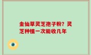 金仙草灵芝孢子粉？灵芝种植一次能收几年