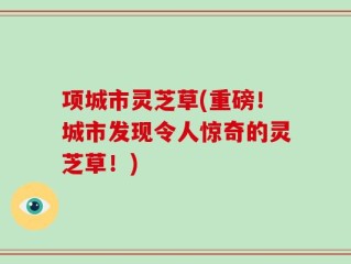 项城市灵芝草(重磅！城市发现令人惊奇的灵芝草！)