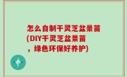 怎么自制干灵芝盆景苗(DIY干灵芝盆景苗，绿色环保好养护)