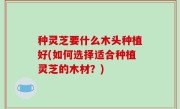 种灵芝要什么木头种植好(如何选择适合种植灵芝的木材？)