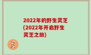 2022年的野生灵芝(2022年开启野生灵芝之旅)