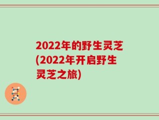 2022年的野生灵芝(2022年开启野生灵芝之旅)