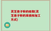 灵芝孢子粉的收取(灵芝孢子粉的采摘和加工方式)