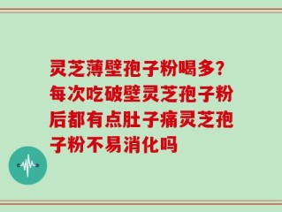 灵芝薄壁孢子粉喝多？每次吃破壁灵芝孢子粉后都有点肚子痛灵芝孢子粉不易消化吗