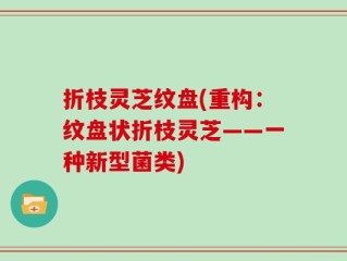 折枝灵芝纹盘(重构：纹盘状折枝灵芝——一种新型菌类)