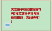 灵芝孢子粉能搭玫瑰花吗(将灵芝孢子粉与玫瑰花搭配，真的好吗？)