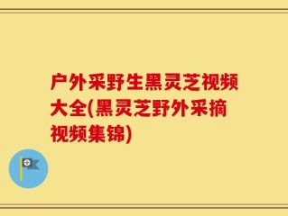 户外采野生黑灵芝视频大全(黑灵芝野外采摘视频集锦)
