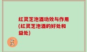 红灵芝泡酒功效与作用(红灵芝泡酒的好处和益处)