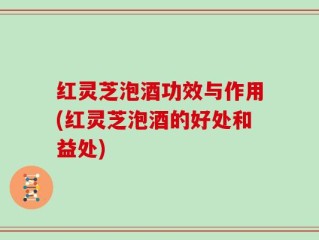 红灵芝泡酒功效与作用(红灵芝泡酒的好处和益处)