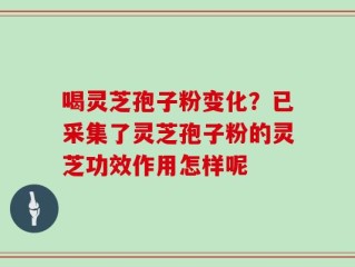 喝灵芝孢子粉变化？已采集了灵芝孢子粉的灵芝功效作用怎样呢