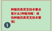 种植仿真灵芝技术要点是什么(种植功略：成功种植仿真灵芝技术要领)
