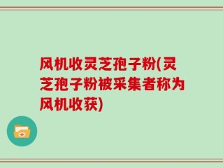 风机收灵芝孢子粉(灵芝孢子粉被采集者称为风机收获)