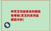 种灵芝效益很高的原因有哪些(灵芝的高效益原因分析)
