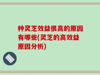 种灵芝效益很高的原因有哪些(灵芝的高效益原因分析)