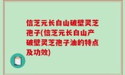 信芝元长白山破壁灵芝孢子(信芝元长白山产破壁灵芝孢子油的特点及功效)