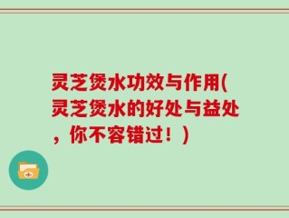 灵芝煲水功效与作用(灵芝煲水的好处与益处，你不容错过！)
