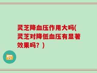 灵芝降血压作用大吗(灵芝对降低血压有显著效果吗？)