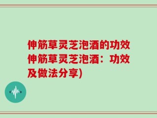 伸筋草灵芝泡酒的功效伸筋草灵芝泡酒：功效及做法分享)