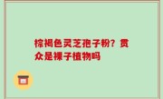 棕褐色灵芝孢子粉？贯众是裸子植物吗