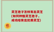 灵芝孢子怎样育出灵芝(如何种植灵芝孢子，成功培育出优质灵芝)
