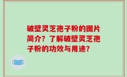 破壁灵芝孢子粉的图片简介？了解破壁灵芝孢子粉的功效与用途？