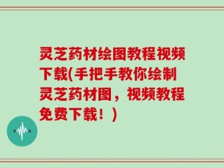 灵芝药材绘图教程视频下载(手把手教你绘制灵芝药材图，视频教程免费下载！)