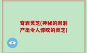 奇岩灵芝(神秘的岩洞产出令人惊叹的灵芝)