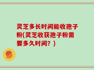 灵芝多长时间能收孢子粉(灵芝收获孢子粉需要多久时间？)