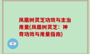 凤凰树灵芝功效与主治用量(凤凰树灵芝：神奇功效与用量指南)