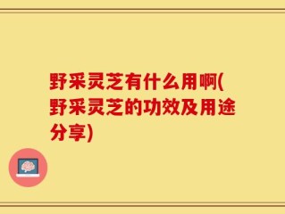 野采灵芝有什么用啊(野采灵芝的功效及用途分享)