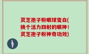 灵芝孢子粉眼球变白(换个活力四射的眼神！灵芝孢子粉神奇功效)