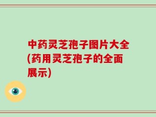 中药灵芝孢子图片大全(药用灵芝孢子的全面展示)
