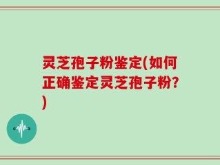 灵芝孢子粉鉴定(如何正确鉴定灵芝孢子粉？)