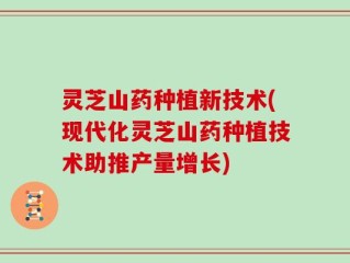 灵芝山药种植新技术(现代化灵芝山药种植技术助推产量增长)