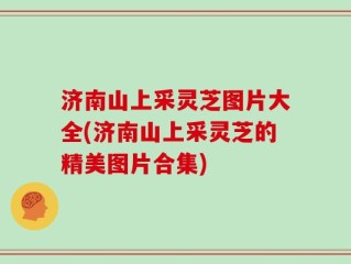 济南山上采灵芝图片大全(济南山上采灵芝的精美图片合集)