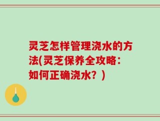 灵芝怎样管理浇水的方法(灵芝保养全攻略：如何正确浇水？)