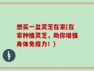 想买一盆灵芝在家(在家种植灵芝，助你增强身体免疫力！)