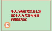 牛大力枸杞灵芝怎么泡酒(牛大力灵芝枸杞酒的泡制方法)